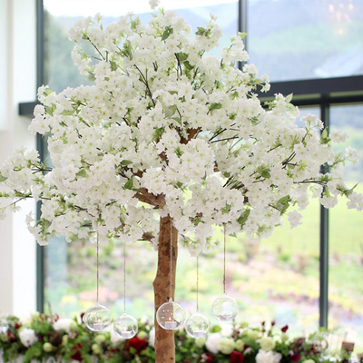 O falso do OEM 1.5m floresce árvore, Cherry Blossom Tree With branco artificial 5 anos de esperança de vida