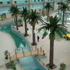 Palmeira artificial dedesvanecimento Anti-uv por atacado da planta grande exterior da decoração da piscina