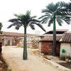 6.3m feito-à-medida altura rei real cubano artificial decorativo Palm Small Tree