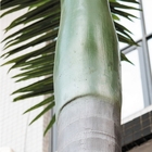 8m iluminou a proteção uv do tronco artificial da fibra de vidro das palmeiras