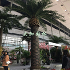 Planta artificial alta da palma de Washingtonia 6.5m para o aeroporto