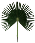 Preservado deixa palmeiras artificiais, prova UV palmeira falsificada de 10 pés