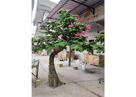 árvore interna artificial do Podocarpus de 1m, nenhum Cedar Bonsai Tree artificial prejudicial