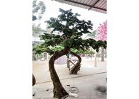 árvore interna artificial do Podocarpus de 1m, nenhum Cedar Bonsai Tree artificial prejudicial