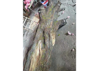 8ft Cherry Blossom Tree falsificado, árvore de seda da flor de pano artificial