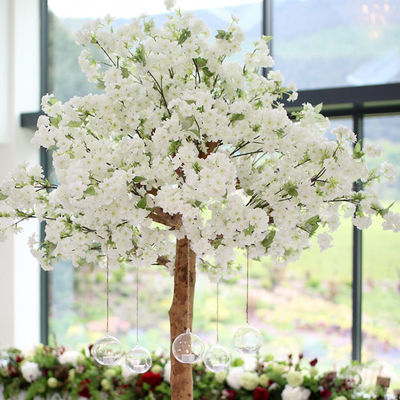 O falso do OEM 1.5m floresce árvore, Cherry Blossom Tree With branco artificial 5 anos de esperança de vida