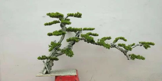 Árvores verdes artificiais de Dajia 1m, árvore falsificada realística dos bonsais para o jardim